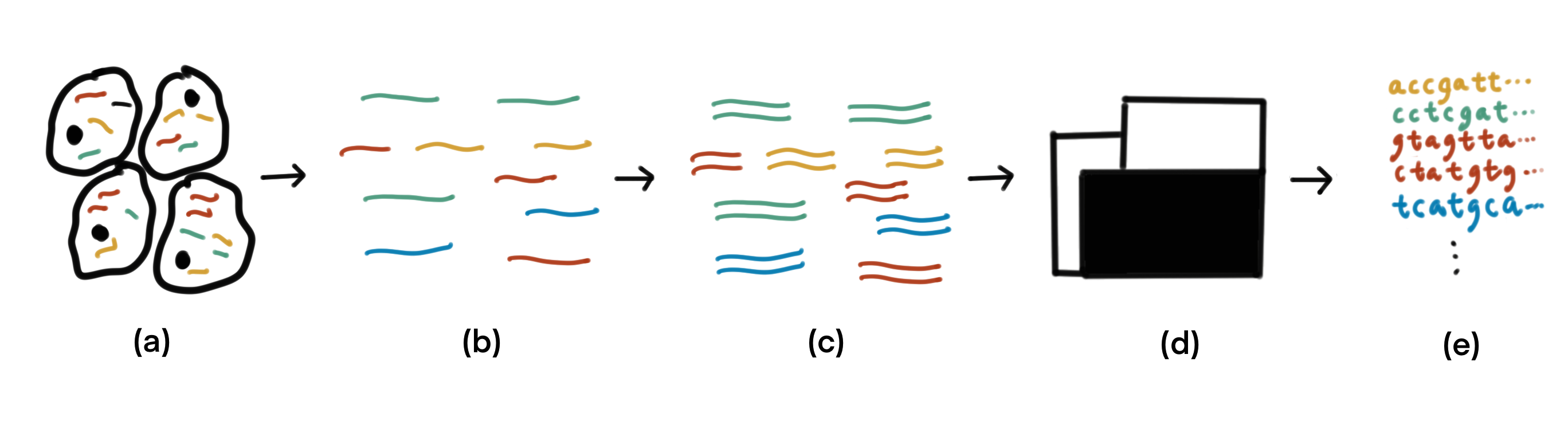 ../../_images/RNA-seq.png