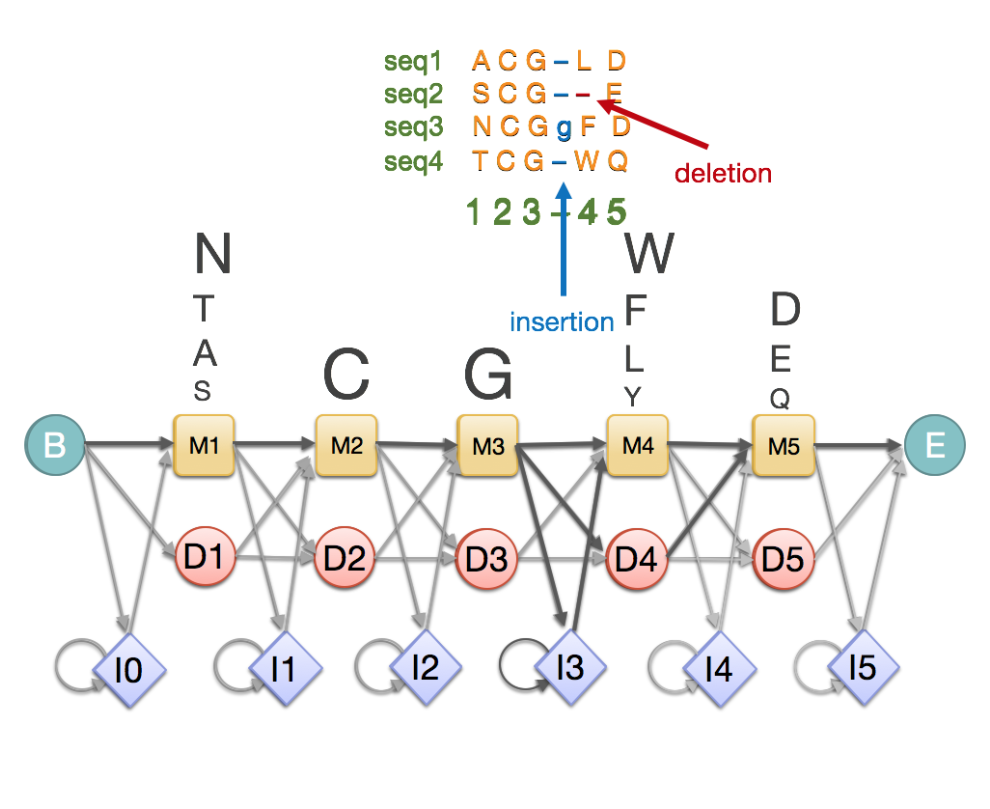 ../../_images/phmm_embl_ebi.png