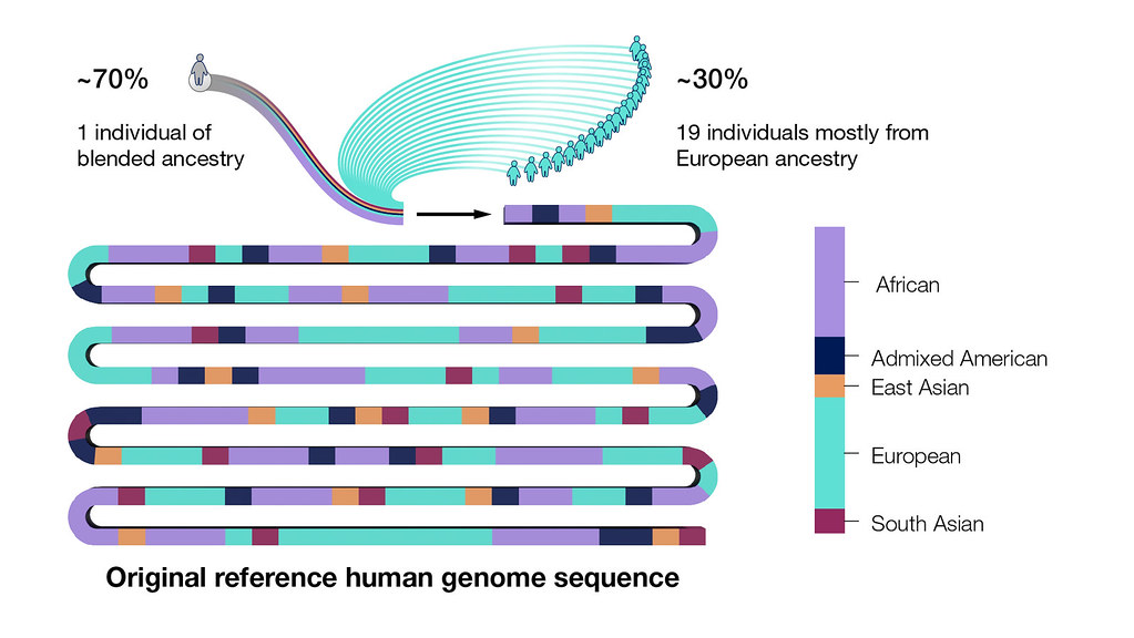 ../../_images/whose_genome_was_sequenced.jpg
